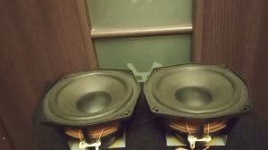 Обзор динамиков НЧ/СЧ  Айва 140 мм