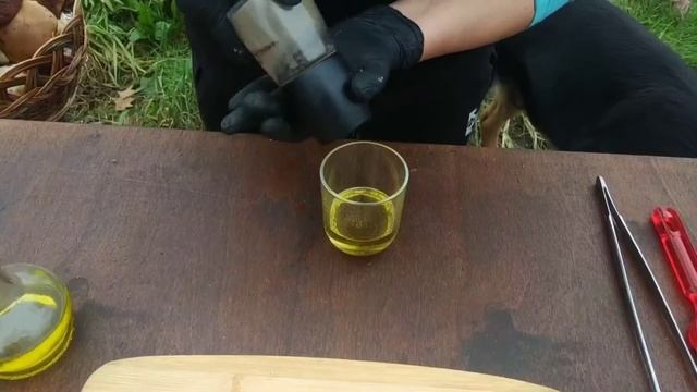 БЕЛЫЙ ГРИБ НА МАНГАЛЕ. смотреть онлайн