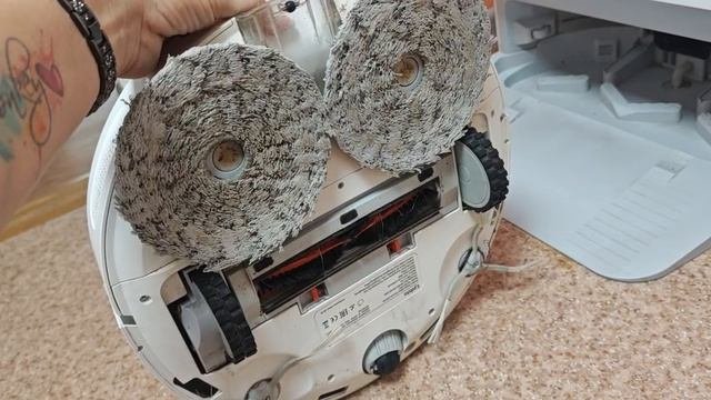 Моющий робот пылесос или ручной моющий пылесос что лучше и как сделать выбор.