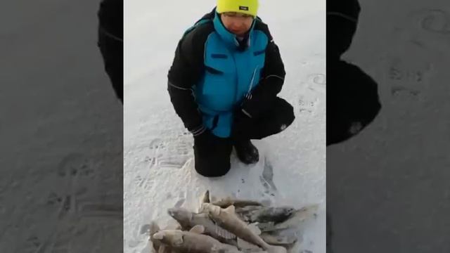 6.12.20г. Второй день по судаку. Клевое местечко. Камское устье.