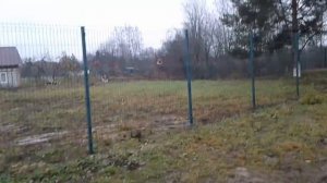 Слапи. В поисках следов кирпичного завода.