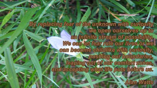 Inspirational Quotes Success Happiness Meditation Spirituality Motivational Greatest Leaders Music