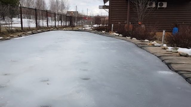 Как сделать чтобы Ваши нимфеи зацвели весной намного быстрее. Питомник нимфей WaterLilia.ru смотреть онлайн