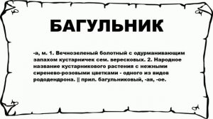 БАГУЛЬНИК - что это такое? значение и описание