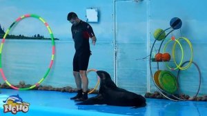 Путешествие в ДЕЛЬФИНАРИЙ "НЕМО". Беларусь (Минск) / The journey in dolphinarium "Nemo".