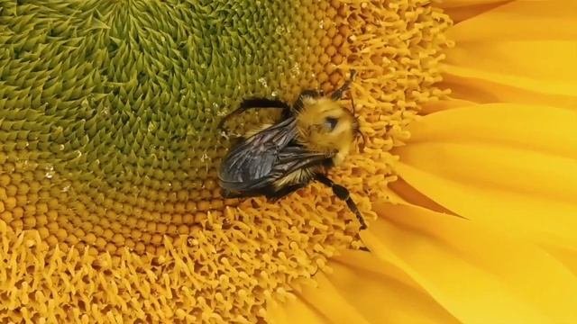 ♥ Какая она – настоящая любовь? ♥
