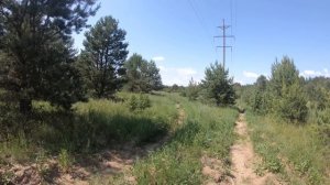 Одиночный поход в Припять. Дикие животные подошли совсем близко. Девчонка в ЧЗО. Bushcraft. Часть 2