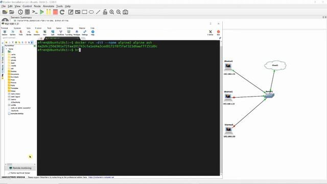 Understanding Docker Default Bridge Network Interfaces смотреть онлайн