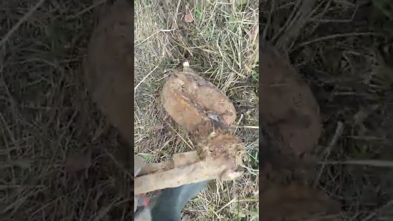 металлокоп,от чего и почему? смотреть онлайн