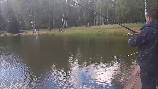 Дневные поимки осетра. Клёвое место, Лосиный остров, нижний водоём. смотреть онлайн