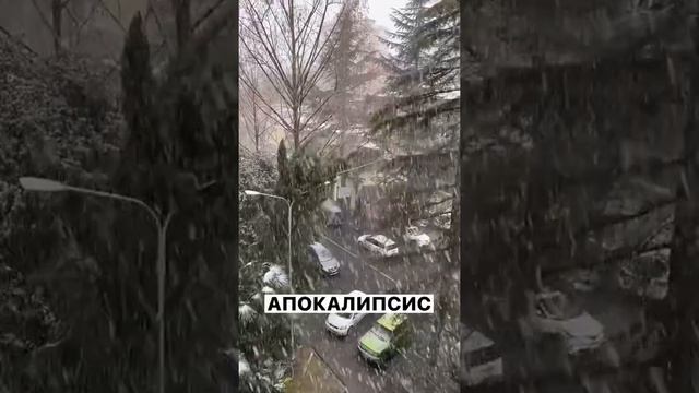 #сочи2021 #сочифорния #сочи #переездвсочи Снегопад в Сочи смотреть онлайн