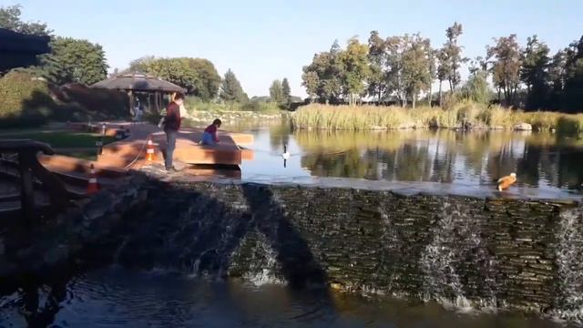 Прогулка по Межигорью. Кормим рыбок, уток и зверей! смотреть онлайн