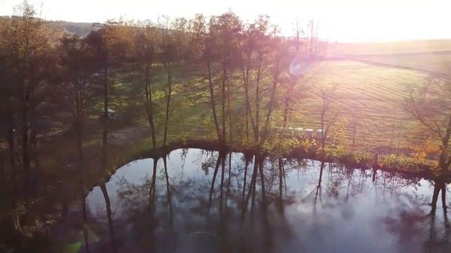 Не вернусь я в отчий дом.