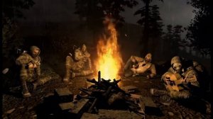 STALKER - ночь, костёр, гитара.