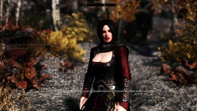 Skyrim - Serana Dialogue Add-on - (SDA MOD) - Playthrough - 13 (SDA Dialogues) смотреть онлайн