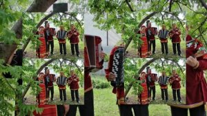 ГАРМОНЬ МОЯ