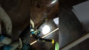 ОРХИДЕЯ # 4 - 1 Сгнили листья. Реанимируем пенёк.