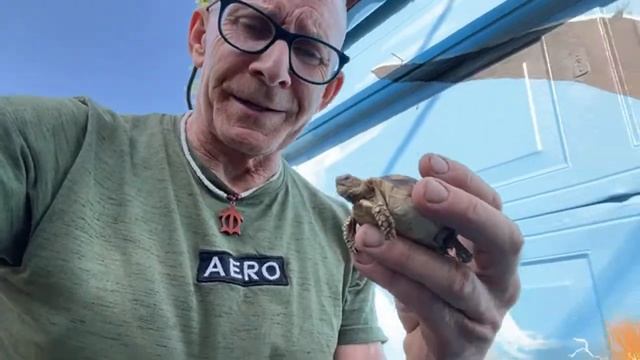 Miracle Hatching Born! Live Stream’in Sunday 4/23 @ 9am ?? смотреть онлайн