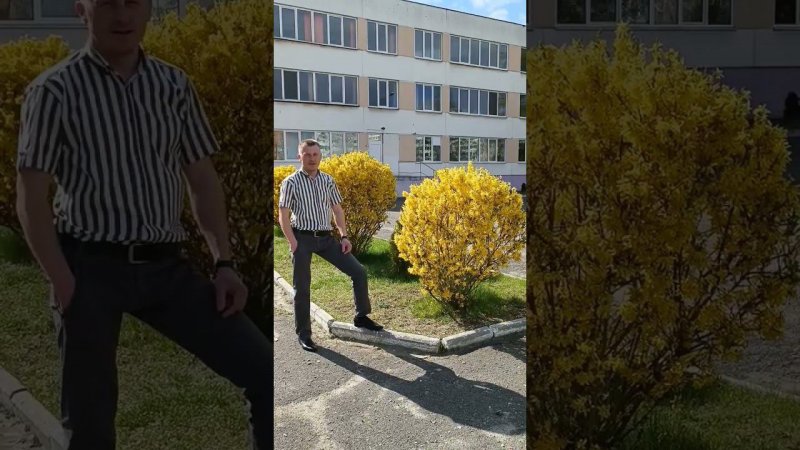 Форзиция - символ весны в Бресте. Это видео показывает, как гость города любуется этим растением.