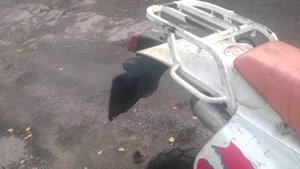 Crm250