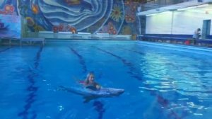 Плавание с дельфинами в Казани