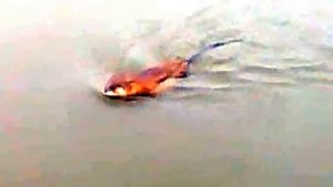 бобровское озеро