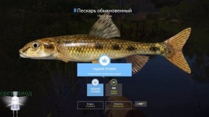 рр4, Р,ВЬЮНОК, 4 СИНЯК В МОЮ КОПИЛКУ