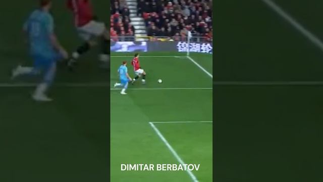 DIMITAR BERBATOV