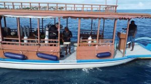 Мальдивы, Диффуши 2023/2024, дайвинг, погружение вид с коптера