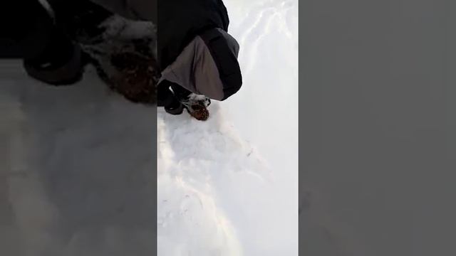 первая зимняя рыбалка и смотреть онлайн