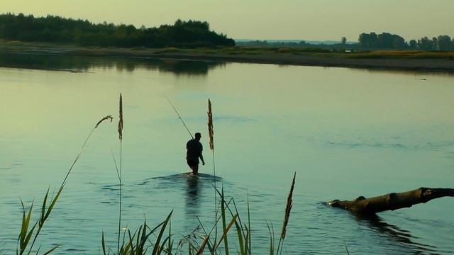 Обь, Солдатово - рыбалка в августе смотреть онлайн