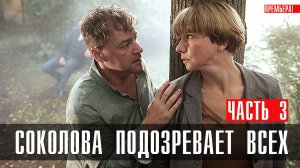 Соколова подозревает всех 3 сезон 1,2,3,4 серия (2023) смотреть Мелодрама
