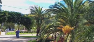 Сочи. Площадь Искусств