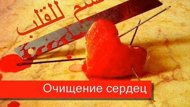 Очищение сердца от страстей. Очищение сердца. Очищение сердца от страстей. Очищение сердца. Очищение сердца от страстей.