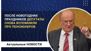 Депутаты вспомнили про пенсионеров вновь после новогодних праздников