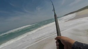 ZLF Fishing De Hoop part 3 | Galjoen, kob & huge shark action!