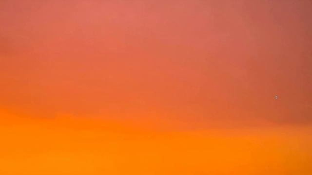 TypeScript cơ bản 15 - Class phần 3: Override смотреть онлайн