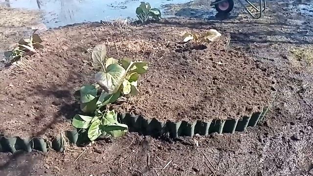 КЛУМБА ИЗ ОНДУЛИНА ВЕСЬ ПРОЦЕСС-FLOWERBED FROM ONDULIN THE WHOLE PROCESS