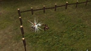 Lineage 2 PVP Paladin vs. Tyrant