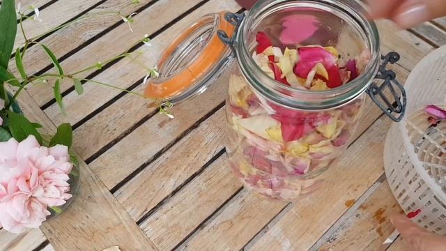 Элексир молодости из лепестков РОЗЫ БЕСПЛАТНО/ КАК сделать самому eau de rose ? смотреть онлайн
