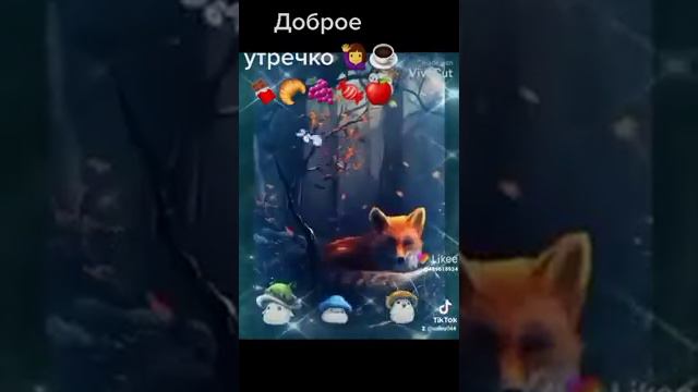 Доброе утречко 🙋♀️☕🍫🥐🍇#доброеутречко #яавторвидео #приветтверскаяобласть смотреть онлайн