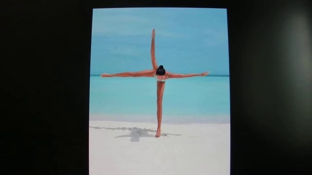 Сказочный ослик из Шрека со своим мини драконом в натуре и фото приколами. смотреть онлайн