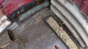 Вес тех же нутрий в 3 месяцев, какой вес??