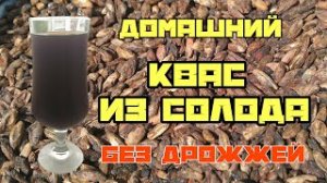 Квас из солода в домашних условиях. Рецепт кваса из солода. Квас на закваске. Закваска для кваса.