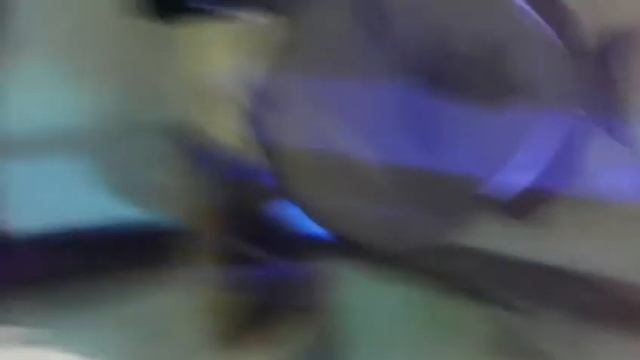 Annularis Angel $139 - Sri Lanka смотреть онлайн