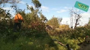 КАК БЫСТРО РАСЧИСТИТЬ участок от поросли и кустарников?