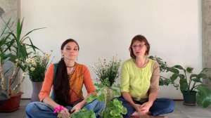 Эфирное масло Герани - полный обзор. Ароматерапия.