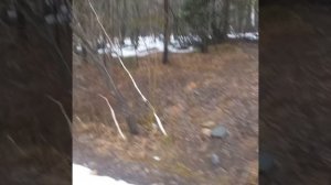 Уфа -Межгорье