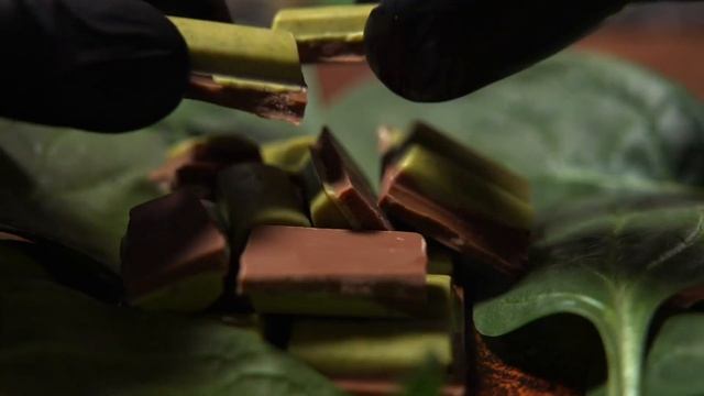 Не знаете как приготовить шпинат? Просто попробуйте зеленый шоколад и удивитесь, как вкусно!