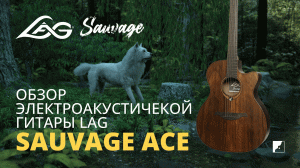 Обзор электроакустической гитары LAG SAUVAGE ACE